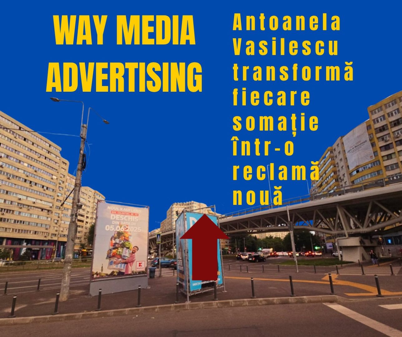 Way Advertise Production SRL: Antoanela Vasilescu și controversa publicității fără avize și neplata taxelor